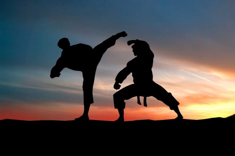 What’s the Difference Between Karate and Kung-fu?
